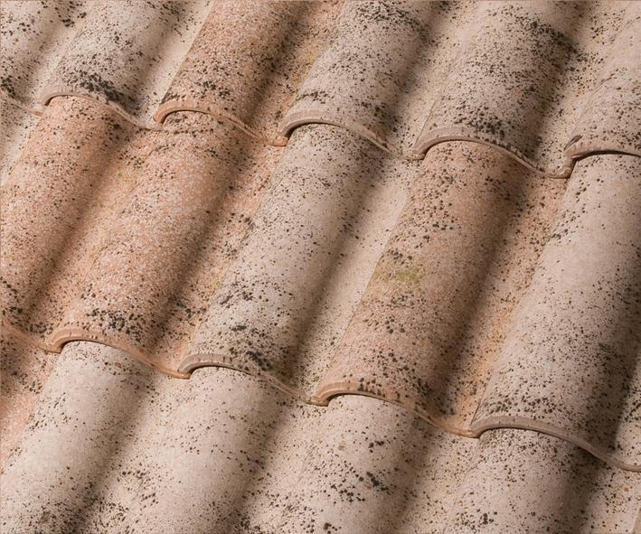 Toledo | Mistral Blend