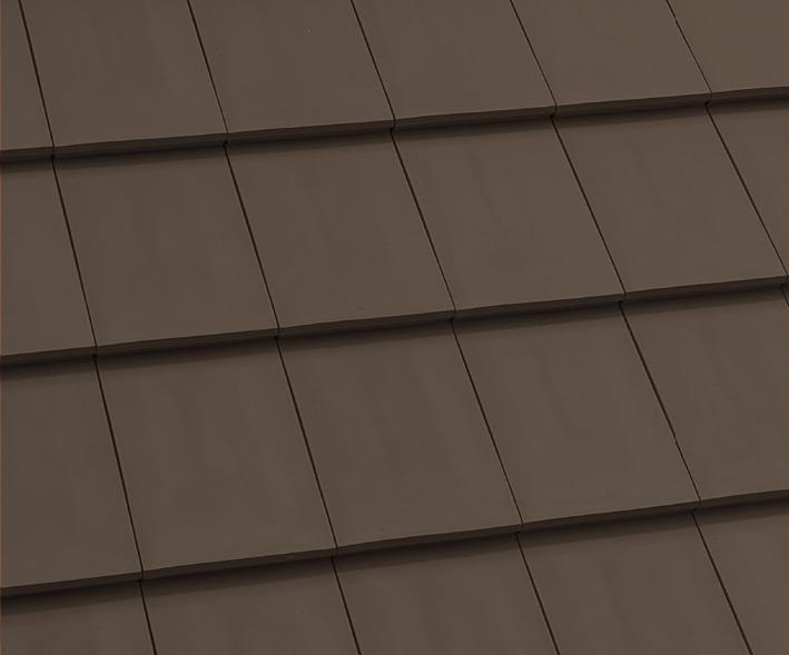 Monaco | Maroon Brown 